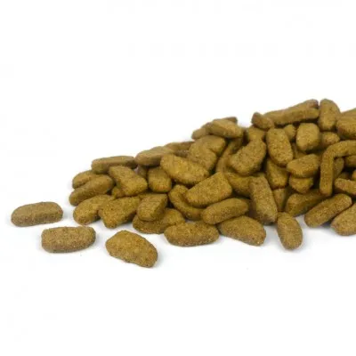 V-Dog CRUNCHY NUGGETS