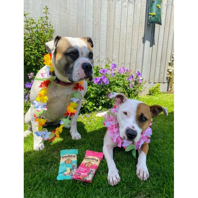 Soopa Dentals Fresa Dog-Quiri 