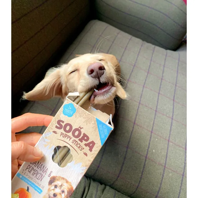 Soopa PUPPY Dentals PLÁTANO & CALABAZA 