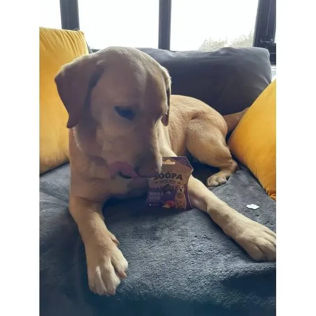 Soopa SENIOR Bites PLÁTANO y CALABAZA  