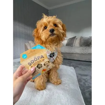Soopa PUPPY Bites CACHORRO DE PLÁTANO Y CALABAZ