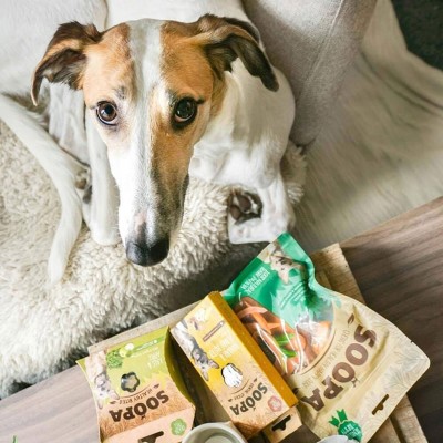 Soopa Bites KALE Y MANZANA