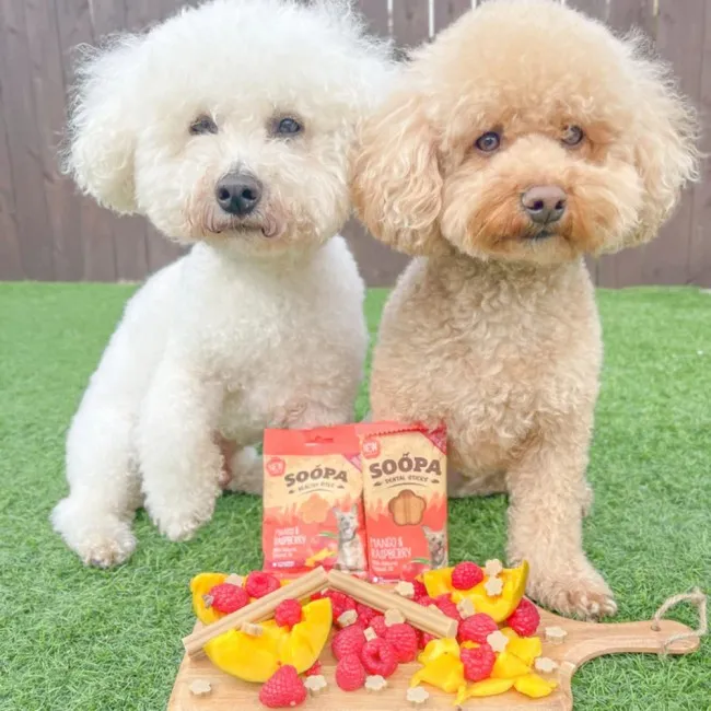 Soopa Dentals MANGO Y FRAMBUESA