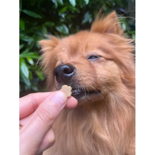 Soopa MINI Bites CACHORRO DE PLÁTANO Y CALABAZ