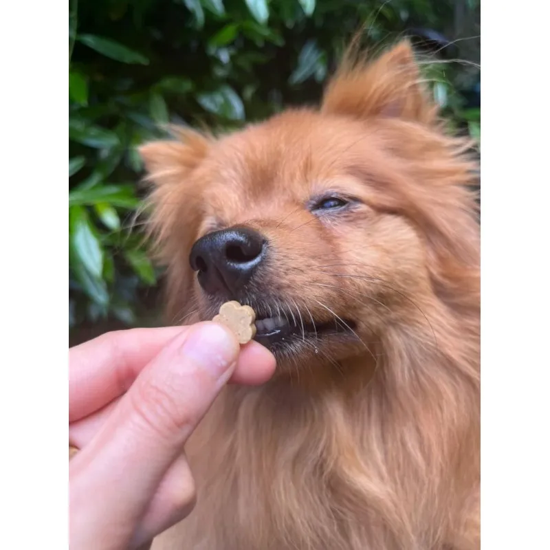 Soopa MINI Bites CACHORRO DE PLÁTANO Y CALABAZ