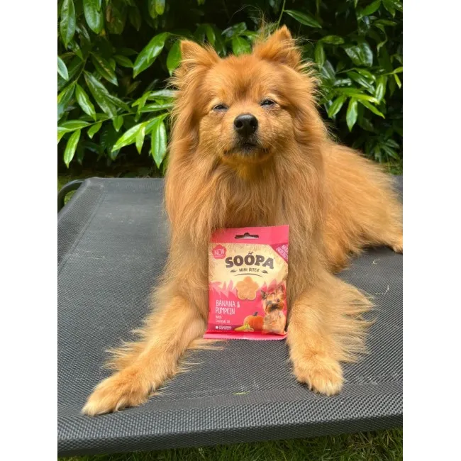Soopa MINI Bites CACHORRO DE PLÁTANO Y CALABAZ