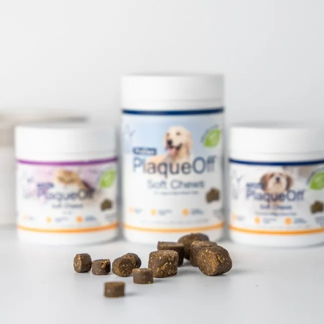ProDen PlaqueOff SOFT CHEWS para perros grandes