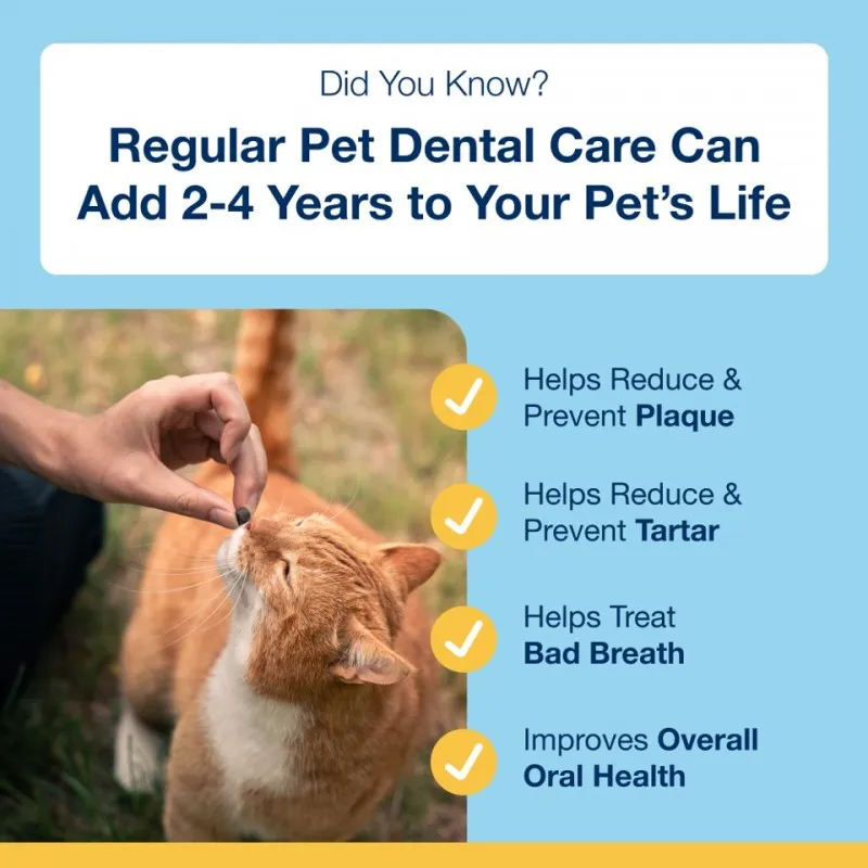 ProDen PlaqueOff DENTAL BITES para gatos