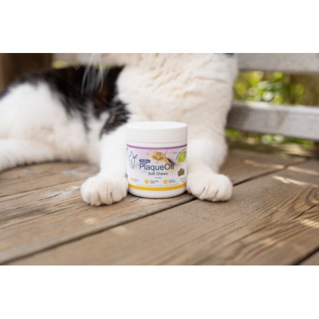 ProDen PlaqueOff SOFT CHEWS para gatos