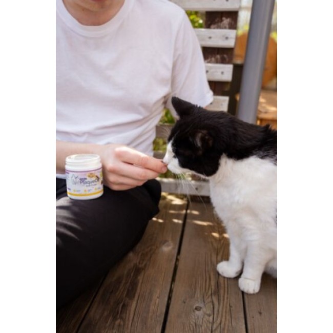 ProDen PlaqueOff SOFT CHEWS para gatos