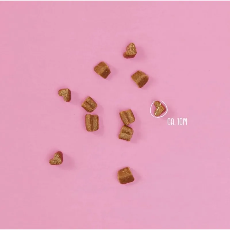 Vegdog MOBILITIES MINIS